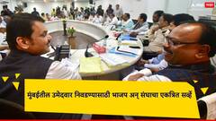 विधानसभा निवडणुकीत मुंबईतील उमेदवार निवडण्यासाठी भाजप अन् संघाचा एकत्रित सर्व्हे, मुस्लिमबहुल मतदारसंघांसाठी खास स्ट्रॅटेजी