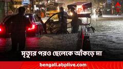 মৃত্যুর পরেও শিশুকে কোলে আঁকড়ে মা! রাস্তা-নালা চিনতে না পেরে মর্মান্তিক মৃত্যু