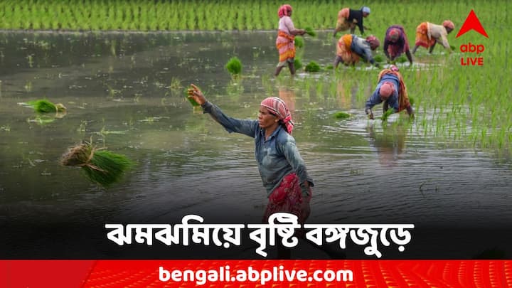 West Bengal Rain Alert: টানা বৃষ্টিতে বিপর্যস্ত বাংলার একাধিক জেলা। কোন জেলায় কেমন আবহাওয়া?