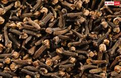 Monsoon: ਬਰਸਾਤ ਦੇ ਮੌਸਮ 'ਚ ਖਾਂਸੀ-ਜ਼ੁਕਾਮ ਤੋਂ ਹੋ ਪਰੇਸ਼ਾਨ ਤਾਂ ਰਾਤ ਨੂੰ ਸੌਣ ਤੋਂ ਪਹਿਲਾਂ ਖਾਓ ਆਹ ਛੋਟੀ ਜਿਹੀ ਚੀਜ਼, ਤੁਰੰਤ ਮਿਲੇਗਾ ਆਰਾਮ