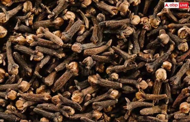 ਲੌਂਗ ਵਿੱਚ ਵਿਟਾਮਿਨ ਈ, ਵਿਟਾਮਿਨ ਸੀ, ਫੋਲੇਟ, ਰਾਈਬੋਫਲੇਵਿਨ, ਵਿਟਾਮਿਨ ਏ, ਥਾਈਮਿਨ ਅਤੇ ਵਿਟਾਮਿਨ ਡੀ, ਓਮੇਗਾ 3 ਫੈਟੀ ਐਸਿਡ ਵਰਗੇ ਜ਼ਰੂਰੀ ਤੱਤ ਪਾਏ ਜਾਂਦੇ ਹਨ। ਜੋ ਸਿਹਤ ਲਈ ਚੰਗੇ ਹੁੰਦੇ ਹਨ।