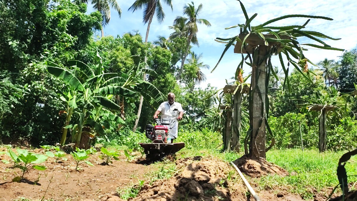 Dragon Fruit Cultivation: மயிலாடுதுறை வயலில் டிராகன் - சாதித்து காட்டிய விவசாயி!