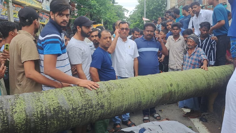 bihar palm tree fell ON bike rider two youths died In nalanda ann Bihar News: नालंदा में बाइक सवार युवकों पर गिरा ताड़ का पेड़, दो की मौत, लोगों ने काटा बवाल