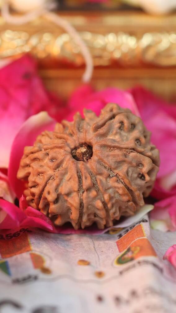 ருத்ராட்சத்தின் ஆன்மீக பலன்கள்!