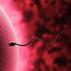 ਮਰਦਾਨਾ ਤਾਕਤ ਵਧਾਉਣ ਲਈ ਅੱਜ ਹੀ ਛੱਡੋ ਇਹ ਬੁਰੀਆਂ ਆਦਤਾਂ