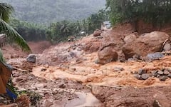 Wayanad Landslides : वायनाडमध्ये भूस्खलनाची घटना; दाक्षिणात्य सेलिब्रिटींनी पुढे केला मदतीचा हात, कोणत्या कलाकारांनी किती दिली रक्कम