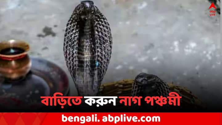 Nag Panchami: সনাতন ধর্মে নাগ পঞ্চমীকে অত্যন্ত গুরুত্বপূর্ণ বলে মানা হয়। শ্রাবণের শুক্লপক্ষের পঞ্চমী তিথিতে নাগ দেবতার পুজো হয়। বাড়িতে কীভাবে করবেন নাগ দেবতার পুজো? পুজোর জন্য লাগবে কী কী সামগ্রী?