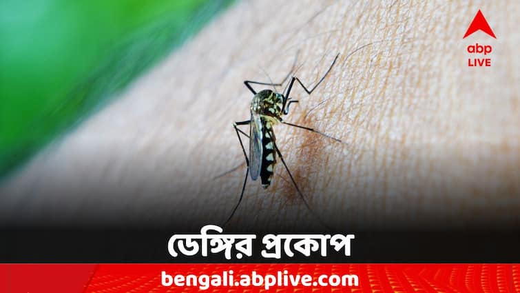 WB Dengue KMC written to the housing authorities to deal with situation WB Dengue: বর্ষায় ডেঙ্গির বাড়বাড়ন্ত, আবাসনগুলিকে চিঠি কলকাতা পুরসভার