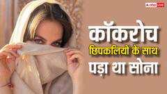 एक्ट्रेस बनने के लिए इस हसीना ने खूब किया स्ट्रगल, कॉकरोच-छिपकलियों के साथ गुजारी रातें, लेकिन फ्लॉप रहा करियर