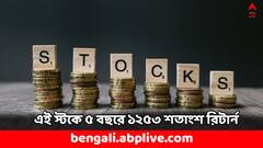 Multibagger Stock: ৫ বছরেই ১ লাখ থেকে ১৩ লাখ রিটার্ন, মুনাফায় ভরিয়েছে এই স্টক