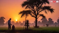 इस राज्य सरकार का बड़ा फैसला, अब किसानों को मिलेगी डीजल पर सब्सिडी