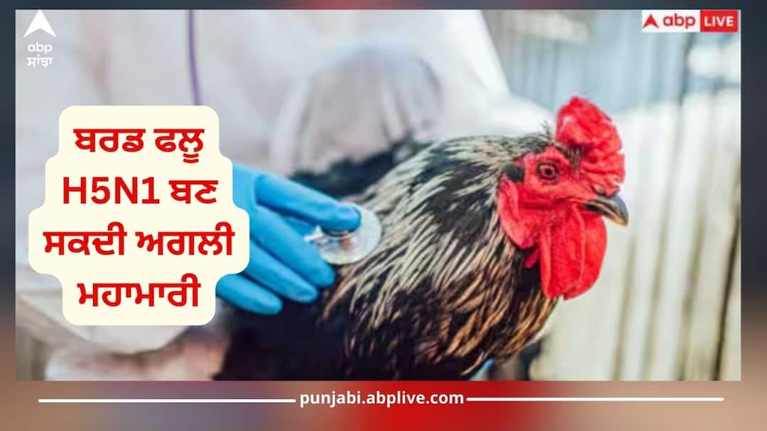 avian influenza h5n1 virus lead to next pandemic is rising but experts say risk remains low read this Bird Flu: ਬਰਡ ਫਲੂ H5N1 ਬਣ ਸਕਦੀ ਅਗਲੀ ਮਹਾਮਾਰੀ, ਡਾਕਟਰ ਨੇ ਦਿੱਤੀ ਇਹ ਵੱਡੀ ਚੇਤਾਵਨੀ