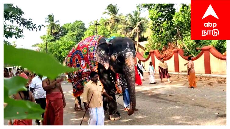 Mayiladuthurai Dharmapuram Adheenam new elephant arrived special welcome - TNN தருமபுரம் ஆதீனத்திற்கு வந்த ஞானாம்பிகைக்கு மேள வாத்தியங்கள் முழங்க சிறப்பு வரவேற்பு