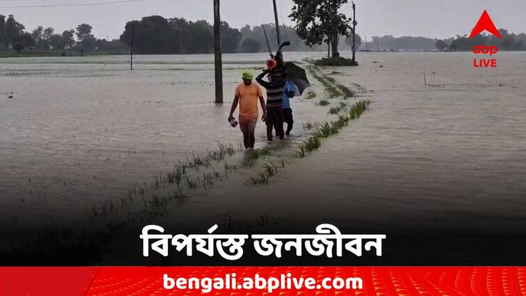 Bankura News due to heavy rainfall Agricultural land under water Bankura News: জলের তলায় বিঘার পর বিঘা জমি, লাগাতার বৃষ্টিতে মাথায় হাত কৃষকদের