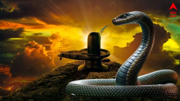 Nag Panchami 2024 kaalsarpa dosh theke muktir upay in shravan 2024 know how to get rid of it Nag Panchami 2024 : কালসর্প দোষ ? মুক্তি পাওয়ার সেরা দিন পরের শুক্রবার, শুধু করুন এই ৩ কাজ