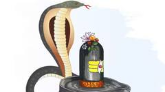 Nag Panchami 2024: বাড়িতে কীভাবে করবেন নাগ পঞ্চমীর পুজো, জানুন পদ্ধতি ও নিয়ম-কানুন