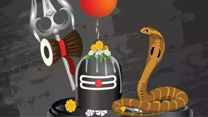 সনাতন ধর্মে সাপ অর্থাৎ নাগকে দেবতা হিসেবে পুজো করা হয়। ভগবান শিবের মূর্তির গলাতেও সবসময় সাপ জড়িয়ে থাকে।