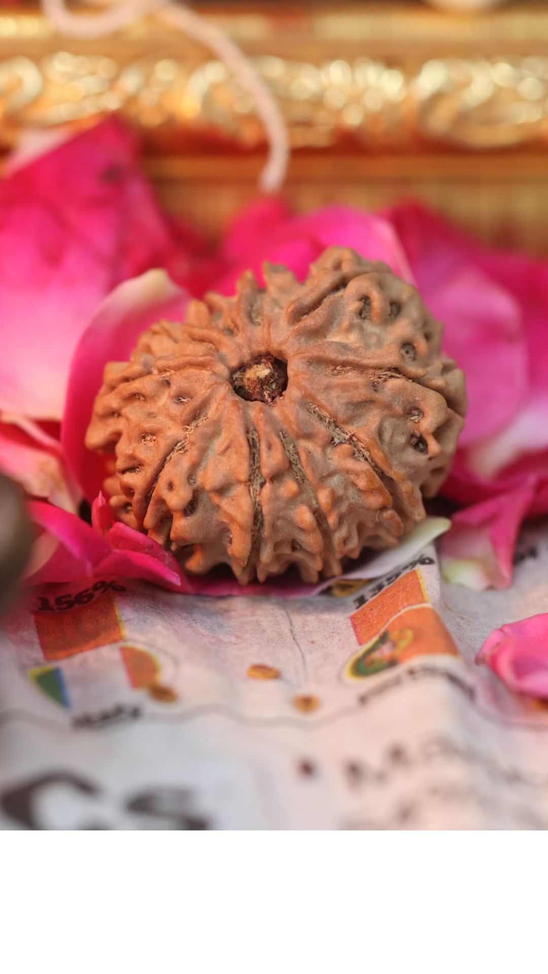 ருத்ராட்சத்தின் ஆன்மீக பலன்கள்!