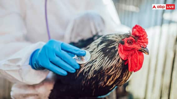 Bird Flu: बर्ड फ्लू H5N1 बन सकती है अगली महामारी, डॉक्टर ने दी ये बड़ी चेतावनी