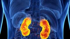 Health: ਕਿਡਨੀ ਖਰਾਬ ਹੋਣ ਤੋਂ ਪਹਿਲਾਂ ਸਰੀਰ ਦਿੰਦਾ ਆਹ ਲੱਛਣ, ਇਸ ਤਰੀਕੇ ਨਾਲ ਰੱਖੋ ਸਿਹਤਮੰਦ