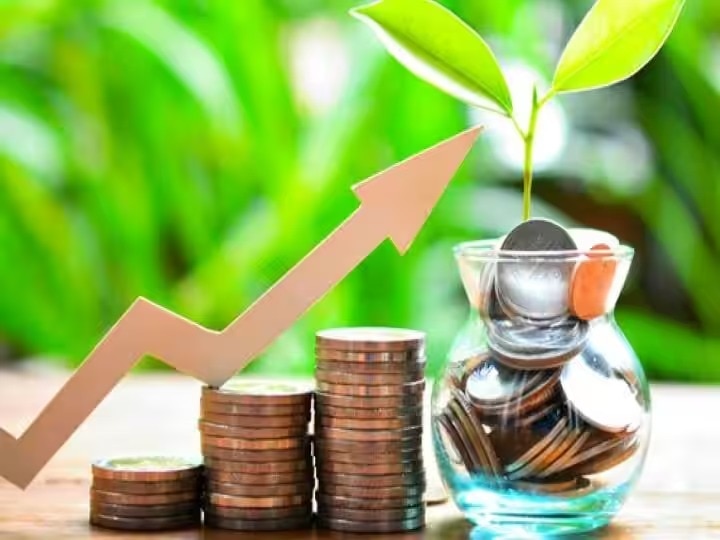 Mutual Fund: ৩ বছরে সবথেকে বেশি রিটার্ন, এই ৫ ফ্লেক্সিক্যাপ মিউচুয়াল ফান্ডের নাম জানেন ?