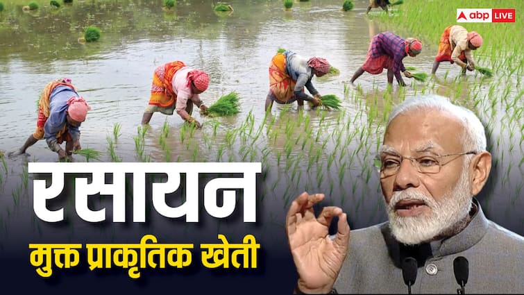 Chemical free natural farming Know what is it PM Modi mentioned in his speech ICAE क्या होती है रसायन मुक्त प्राकृतिक खेती? जिसका पीएम मोदी ने किया अपने भाषण में जिक्र