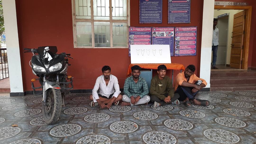 Crime : கோவையில் தொடர் கொள்ளையில் ஈடுபட்ட கும்பல் கைது ; 17.5 சவரன் நகை , இருசக்கர வாகனம் பறிமுதல் Coimbatore crime serial robbery Gang arrested in kovai - TNN Crime : கோவையில் தொடர் கொள்ளையில் ஈடுபட்ட கும்பல் கைது ; 17.5 சவரன் நகை , இருசக்கர வாகனம் பறிமுதல்