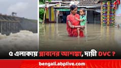 প্লাবনের আশঙ্কা হাওড়া-সহ এই ৫ এলাকায় ! রাজ্য না জানিয়েই ১ লক্ষ কিউসেক জল ছেড়েছে DVC ?