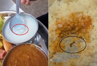 વલ્લભ વિદ્યાનગરની હોસ્ટેલમાં વિદ્યાર્થિનીઓનાં શાક-ભાતમાંથી ઈયળો અને મંકોડા સહિતની જીવાત નીકળી