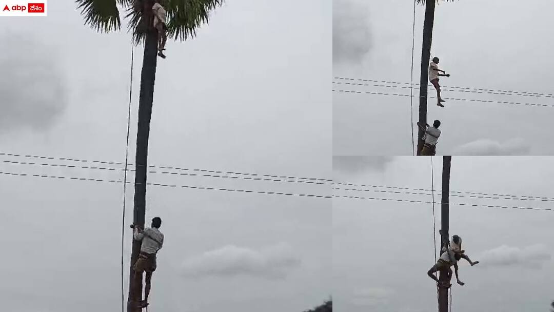 a man was seriously injured while he removed from the deadbody on the tree in munagala in suryapeta Suryapeta News: తీవ్ర విషాదం వెంటే ఊహించని ప్రమాదం - మృతదేహం మీద పడి వ్యక్తికి తీవ్ర గాయాలు, షాకింగ్ వీడియో