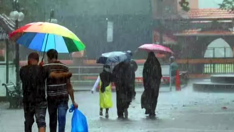 Kerala rain Meteorological Center has issued yellow alert for 4 districts - TNN கேரளாவின் 4 மாவட்டங்களுக்கு மஞ்சள் எச்சரிக்கை -  வானிலை ஆராய்ச்சி மையம்