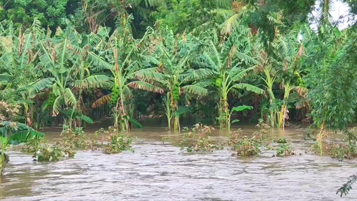 தண்ணீரில் தத்தளிக்கும் திட்டு, படுகை கிராமங்கள் - போக்குவரத்து துண்டிப்பு...!