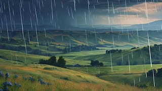 TN Rain: இந்த 15 மாவட்டங்களில் மழை இருக்கு; பாதுகாப்பாக இருங்க மக்களே..!