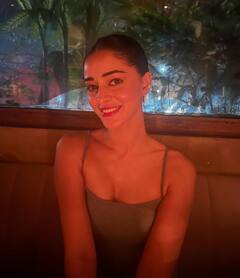Ananya Panday Turns Heads With Breathtaking Look In Chic Grey Dress, Check Out All Pics