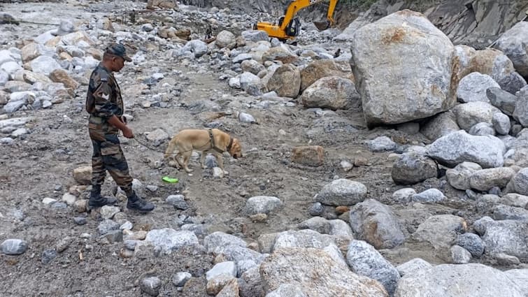 हिमाचल: अब स्निफर डॉग और लाइव डिटेक्टर से सर्च ऑपरेशन, लापता 33 लोगों का अब तक नहीं मिला सुराग