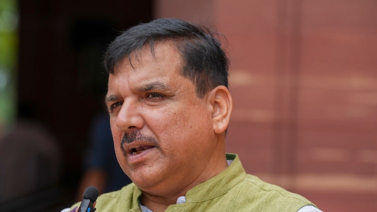 AAP MP Sanjay Singh attack on BJP Government Uchana Kalan rally Haryana 'BJP वाले जनता को...', उचाना कलां में संजय सिंह का नायब सिंह सैनी सरकार पर हमला