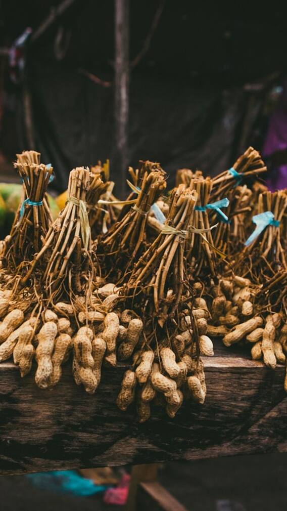 சுவையான வேர்க்கடலை பொடி செய்வது எப்படி?