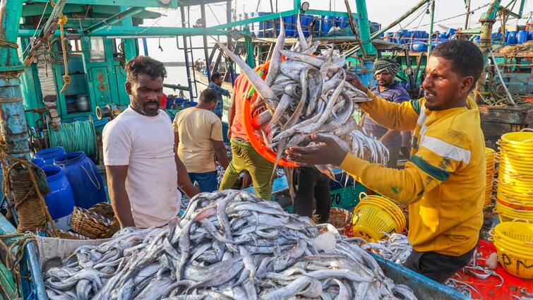 Bihar Banka miscreants put poison into the pond and killed fish worth lakhs of rupees ann Bihar News: बांका में महज 13 सौ रुपये के लिए लाखों की मछली को मार डाला, दबंगों ने तालाब में डाला जहर