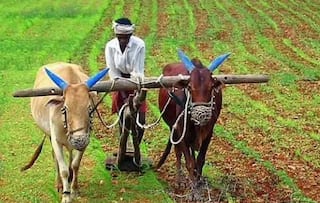 PM Kisan Yojana: ખેડૂતોએ કરાવી લેવું જરૂરી છે આ કામ, આના વિના નહીં મળે 2000 રૂપિયાનો 18મો હપ્તો