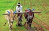 திருவண்ணாமலை விவசாயிகளுக்கு குட் நியூஸ்; 50% மானிய விலையில் திரவ உயிர் உரங்கள் விநியோகம்.!