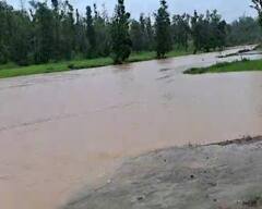 ડાંગ જિલ્લામાં બારે’ય મેઘ ખાંગા, ભારે વરસાદથી જનજીવન અસ્તવ્યસ્ત, અનેક ગામો સંપર્કવિહોણા