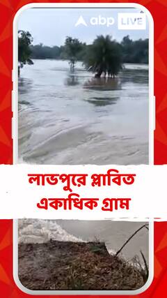 হু হু করে ঢুকছে জল, লাভপুরে প্লাবিত একাধিক গ্রাম