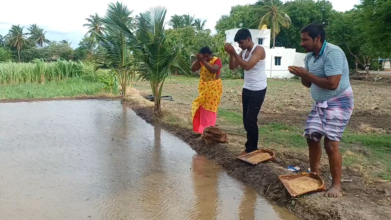 ஆடி பட்டம் தேடி விதை.. ஆடிப்பெருக்கு தினத்தில் நெல் நாற்று விடும் விவசாயிகள்