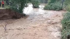 Bihar Flood: सीएम नीतीश के नालंदा में बाढ़ का खतरा, लोकाइन नदी में पानी बढ़ने से बांध टूटा, तस्वीरों में देखें हालात