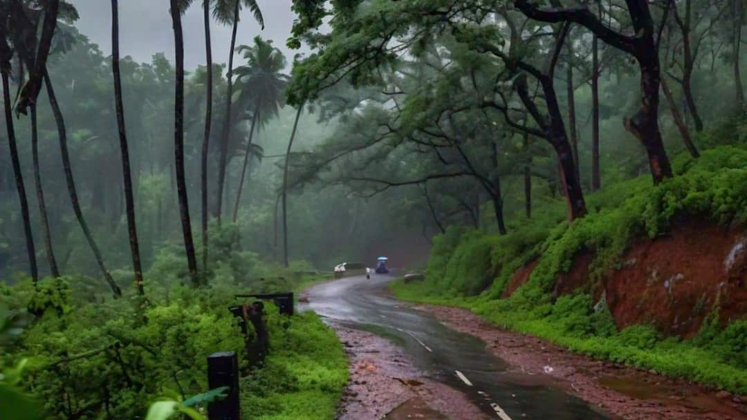 TN Rain: சென்னையில் வெளுக்கும் மழை; நாளை 8 மாவட்டங்களில் கனமழை இருக்கு..! Tamilnadu rain updates over places 8 districts today and tomorrow 04th and 5th august TN Rain: சென்னையில் வெளுக்கும் மழை; நாளை 8 மாவட்டங்களில் கனமழை இருக்கு..!