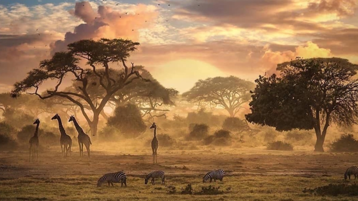 8 Safari Destinations In Africa