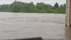 Navsari Rain: નવસારી જિલ્લામાં ભારે વરસાદ, નદીઓમાં પૂરની સ્થિતિ, તડકેશ્વર મહાદેવ મંદિર પાણીમાં ગરકાવ