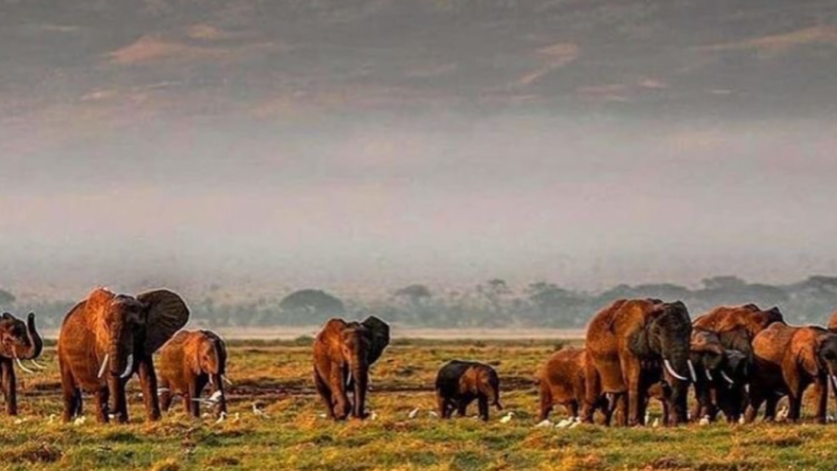 8 Safari Destinations In Africa