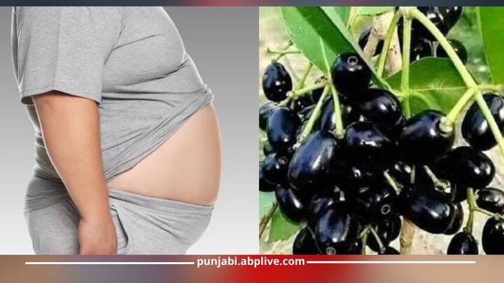 Health News: ਬਰਸਾਤ ਦਾ ਮੌਸਮ ਸ਼ੁਰੂ ਹੋਣ ਦੇ ਨਾਲ ਹੀ ਮੰਡੀਆਂ ਵਿੱਚ ਜਾਮਨ ਦੀ ਆਮਦ ਸ਼ੁਰੂ ਹੋ ਗਈ ਹੈ। ਇਹ ਫਲ ਪੋਸ਼ਕ ਤੱਤਾਂ ਨਾਲ ਭਰਪੂਰ ਹੁੰਦਾ ਹੈ। ਘੱਟ ਕੈਲੋਰੀ ਅਤੇ ਘੱਟ ਗਲਾਈਸੈਮਿਕ ਇੰਡੈਕਸ ਵਾਲੇ ਇਸ ਫਲ ਦਾ ਸੇਵਨ ਸਿਹਤ ਲਈ ਕਿਸੇ ਵਰਦਾਨ