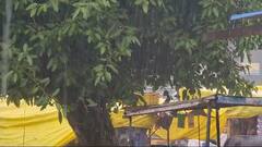 છેલ્લા 2 કલાકમાં રાજ્યના 31 તાલુકામાં વરસાદ તૂટી પડ્યો, ખેરગામમાં સૌથી વધુ 2.75 ઈંચ